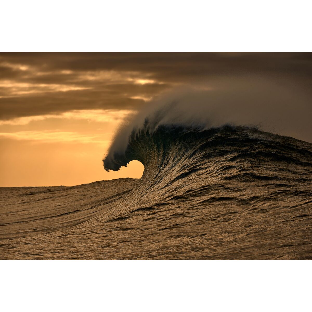 Men' Spectacle frame O'Neill ONO-4518 53107 - Image 7